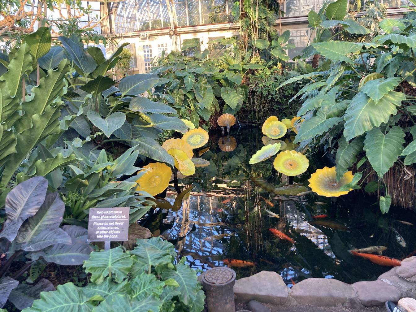 One of the ponds with koi fish and lots of greenery around it.