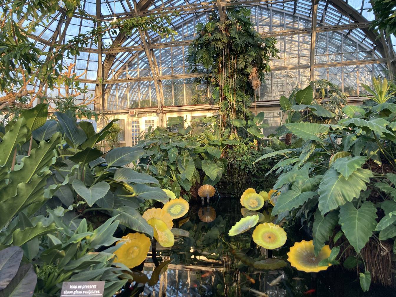 An alternate angle of one of the ponds that shows how tall some of the surrounding plants are.