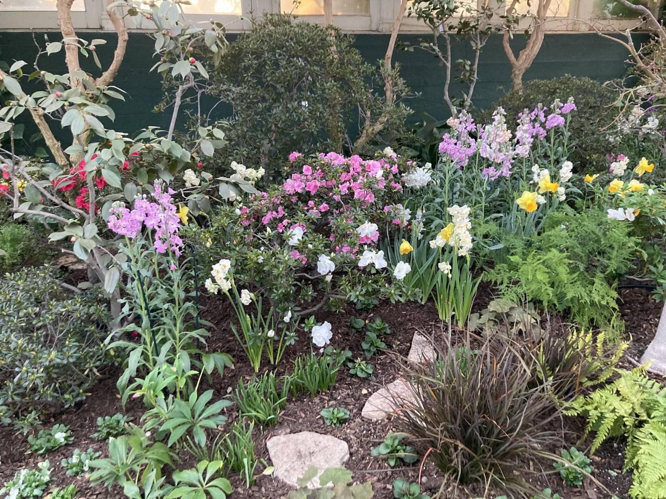 A patch of assorted flowers.