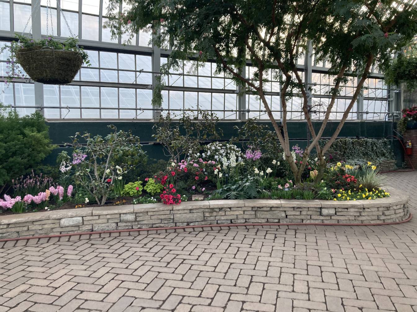 A raised bed of various flowers and shrubs.