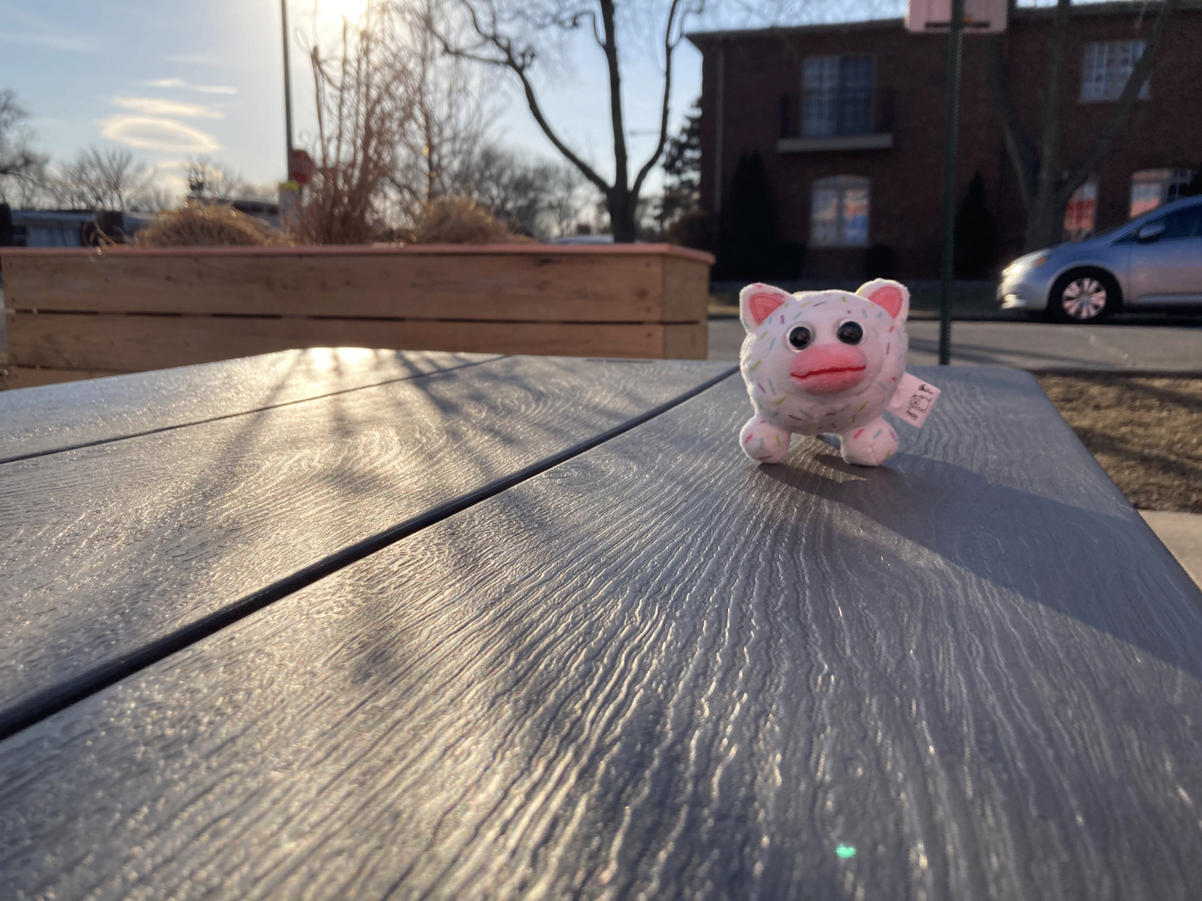 Icecreampy on a table outside.