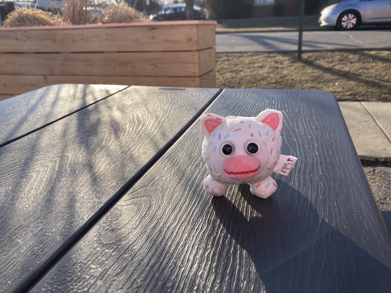 An alternate angle of Icecreampy on a table outside.