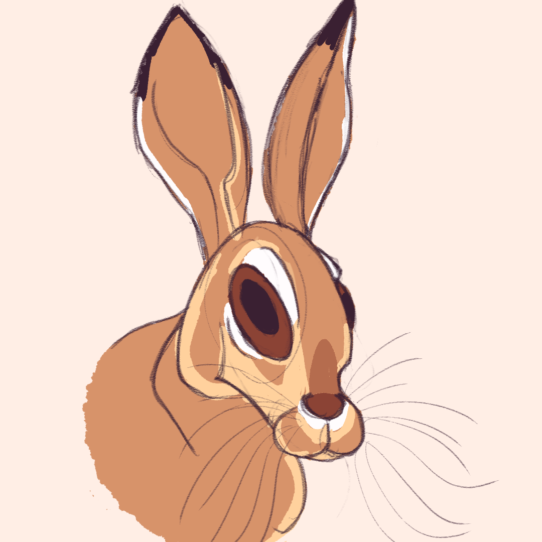 A digital bust drawing of a brown hare.