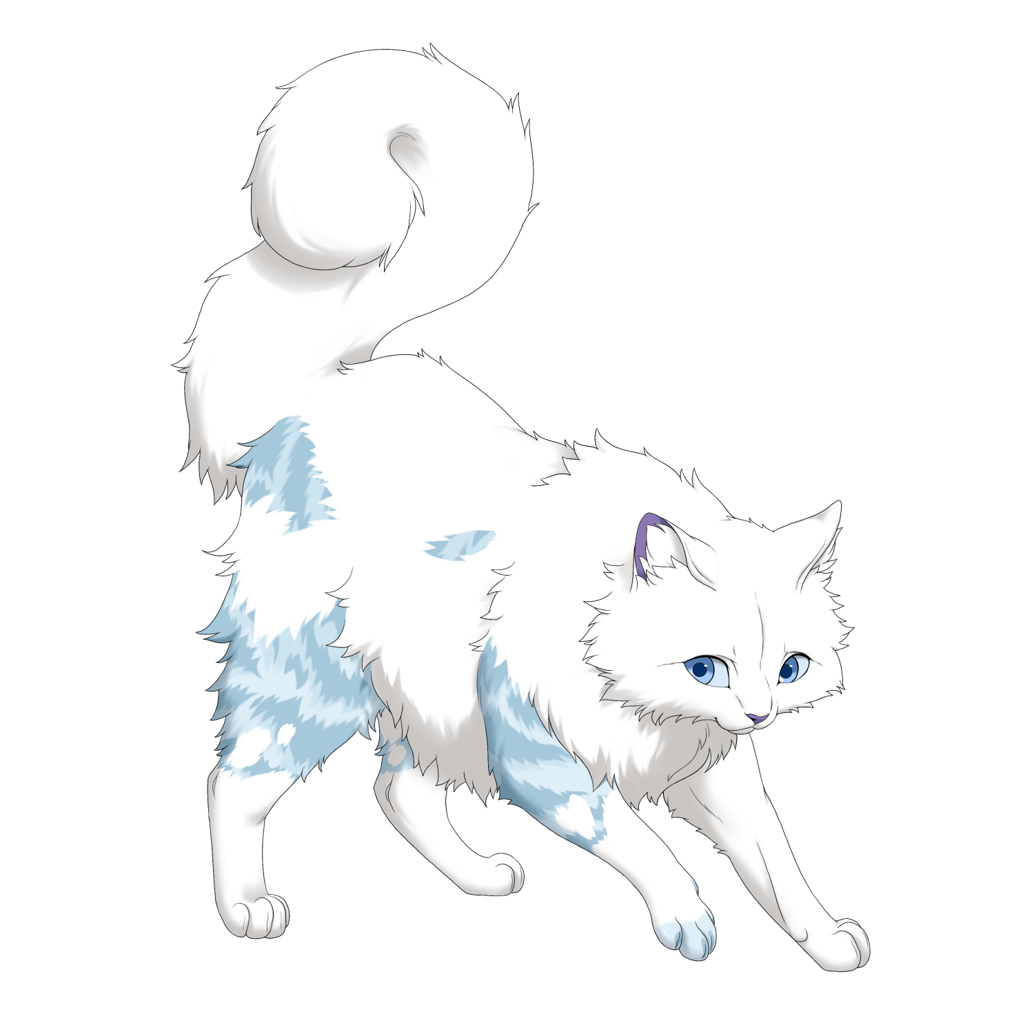 Clouddrop's Portrait