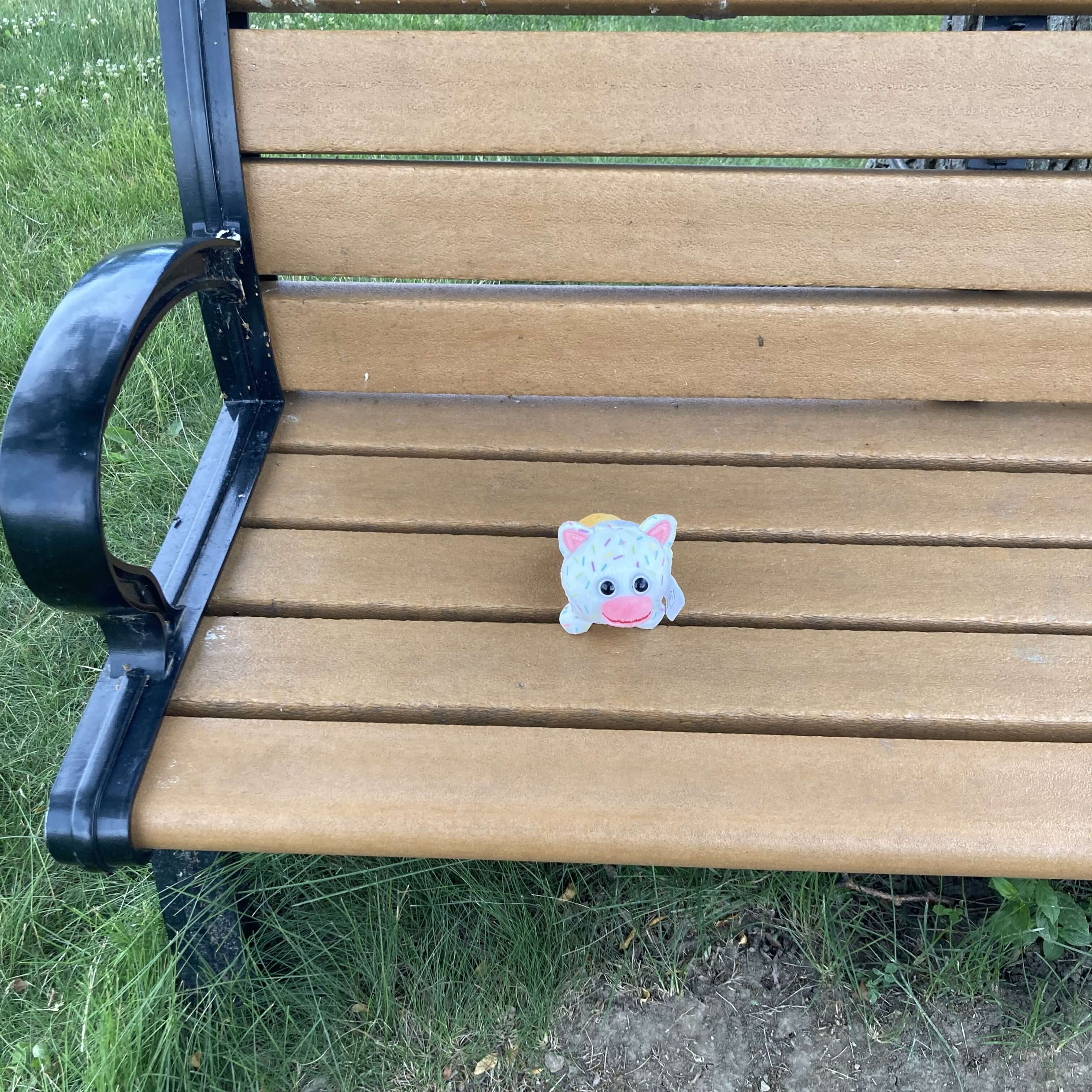 Icecreampy on a bench outside.