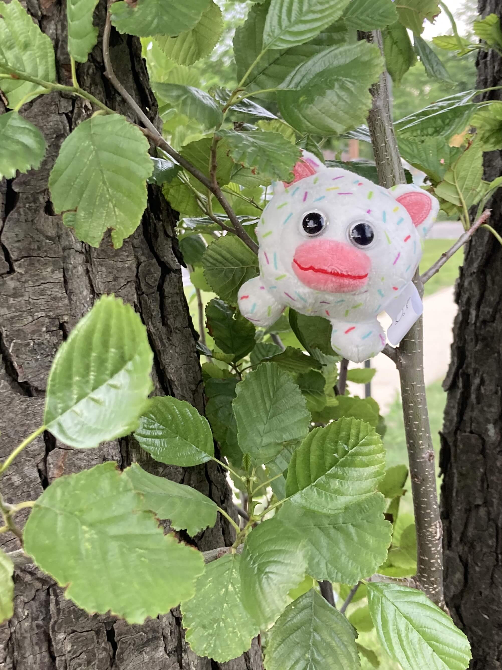 Icecreampy in a tree.