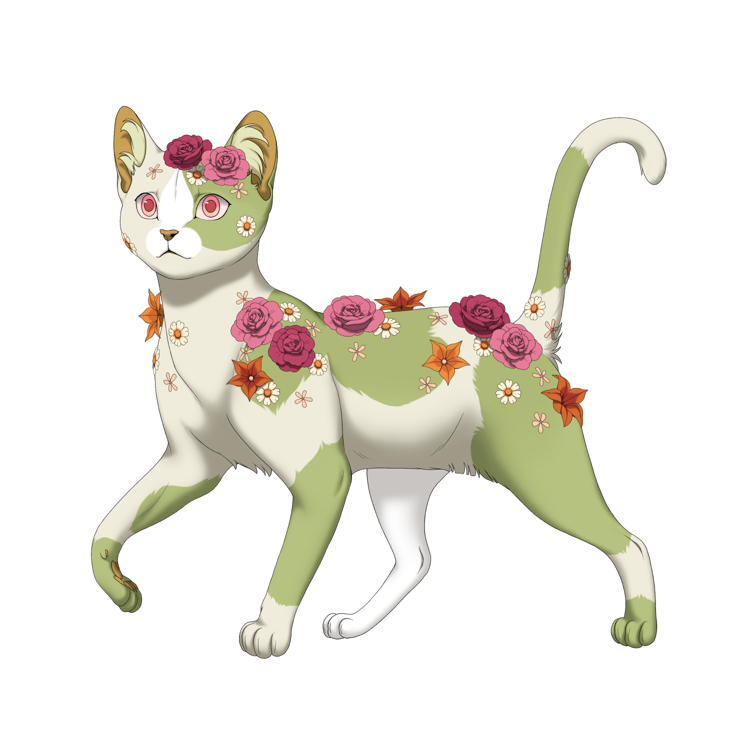 Melonleaf with pink and orange flowers on their back